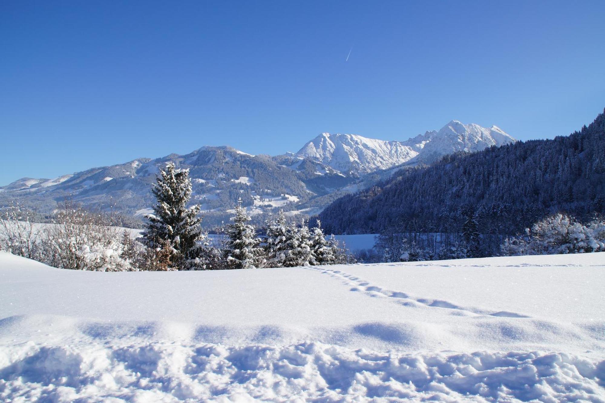 Wohlfuehlhotel Berwanger Hof Obermaiselstein Luaran gambar